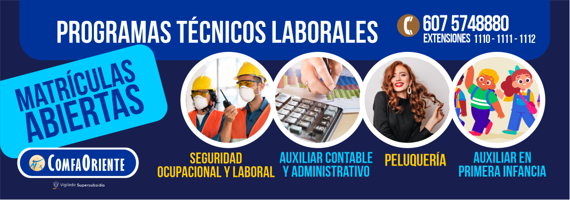 Programas Tecnicos laborales