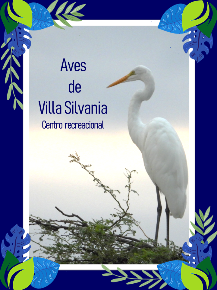 Ave blanca de cuello largo con pico naranja posada sobre rama; texto Aves de Villa Silvania y marco vegetal azul