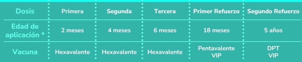 Calendario de vacunación: 1ª 2m, 2ª 4m, 3ª 6m (Hexavalente); refuerzo 18m (Pentavalente VIP); 2º refuerzo 5a (DPT VIP).