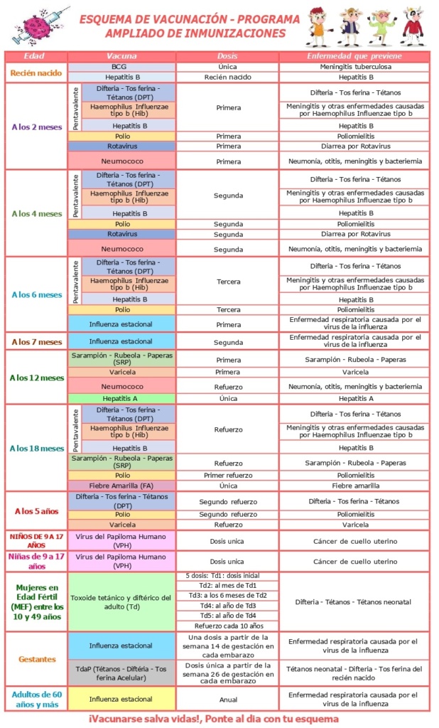 Tabla colorida del esquema de vacunación infantil y adulta con edades, vacunas, dosis y enfermedades que previenen.