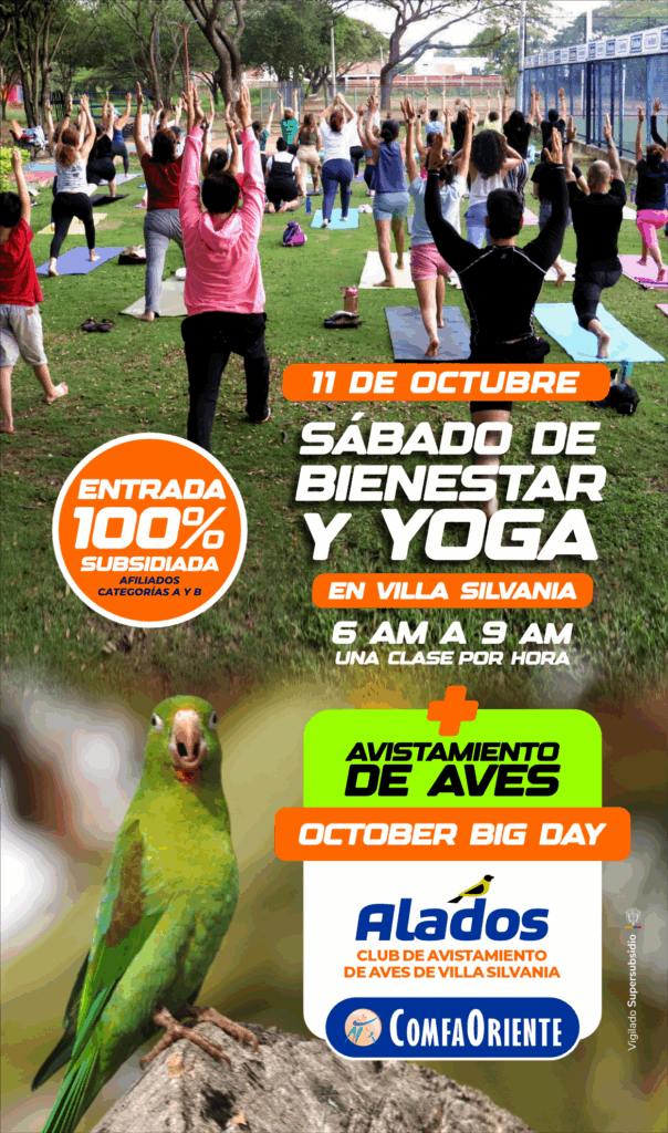 Clase grupal de yoga al aire libre en un parque, con un loro verde en primer plano y textos promocionales del evento.